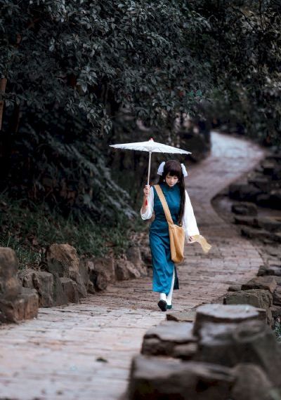 珠帘玉幕免费